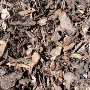 ornamental bark