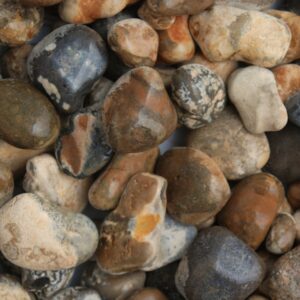 Oyster Pebbles 40mm