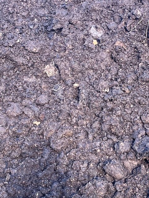 Manure